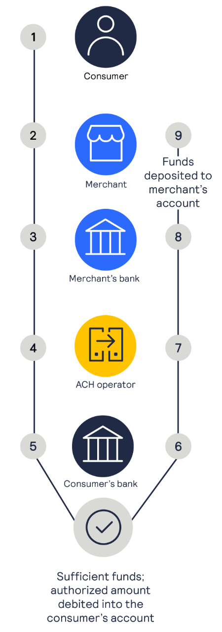 How eChecks work with Authorize.net